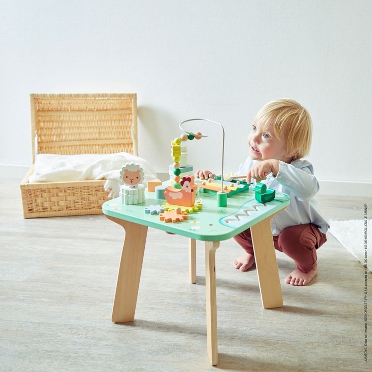 Meadow Activity Table - FAO Schwarz